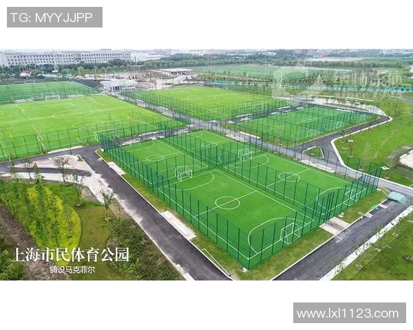 探索足球立体框架的创新设计与应用潜力解析